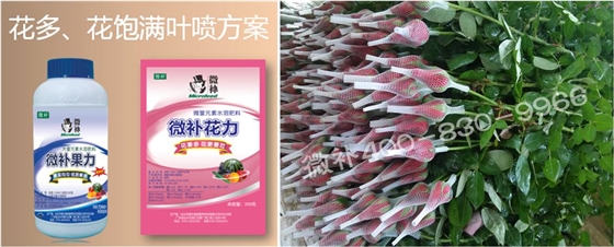 花卉也需要微補嗎？