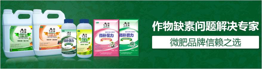 #微肥課堂#為什么葉面肥養(yǎng)分含量相同，效果卻不同？
