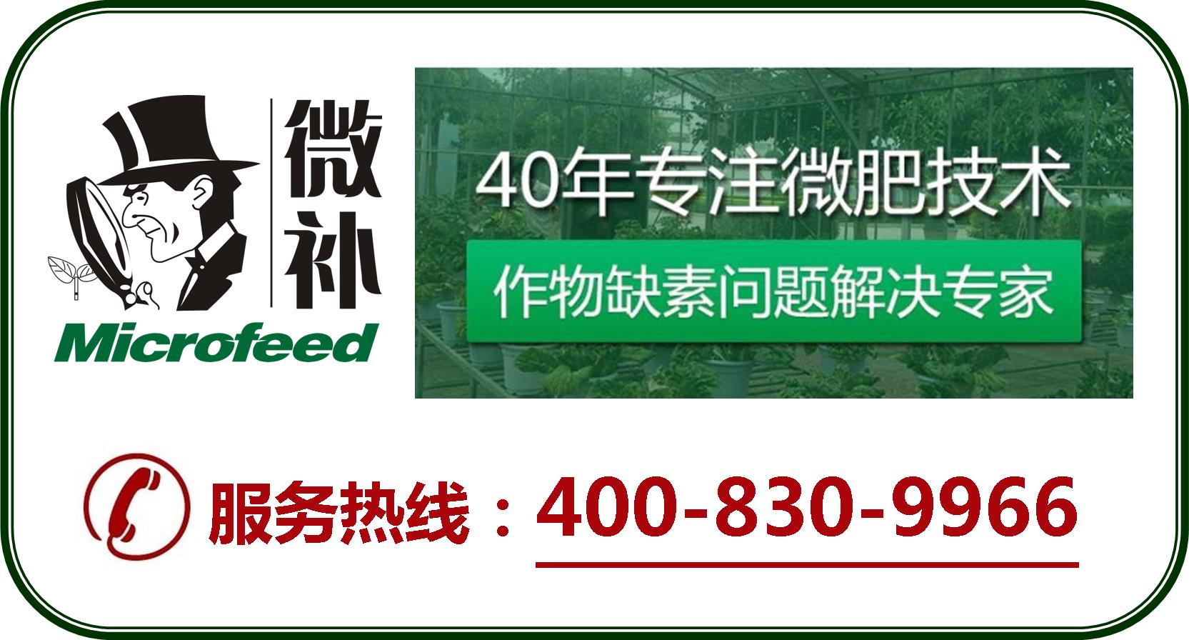 余教授德國(guó)鄉(xiāng)村行：摩澤爾河的葡萄魅力在哪兒？