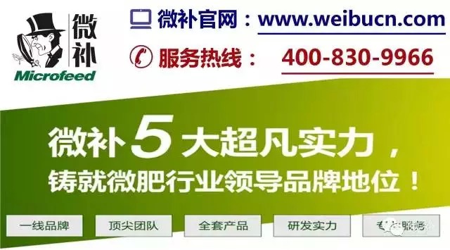余教授奧地利鄉(xiāng)村行：萬科為什么說把奧地利小鎮(zhèn)搬回來？
