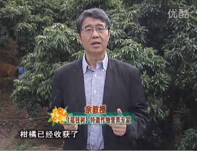20160104珠江臺(tái)搖錢樹：防治柑橘黃樹、減少采后弱樹 撒微補(bǔ)倍力、噴碧力+壯力