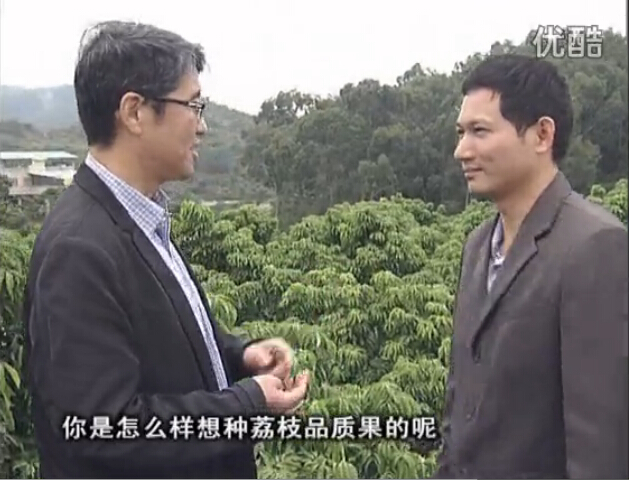 20160104珠江臺搖錢樹：補充所需微補營養(yǎng)，種出品質(zhì)荔枝，提高收益賣價！