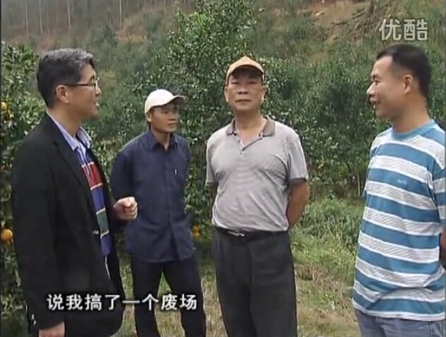 20160118珠江臺(tái)搖錢樹：貢柑用微補(bǔ)全年?duì)I養(yǎng)方案，黃樹翻身還高產(chǎn)增果