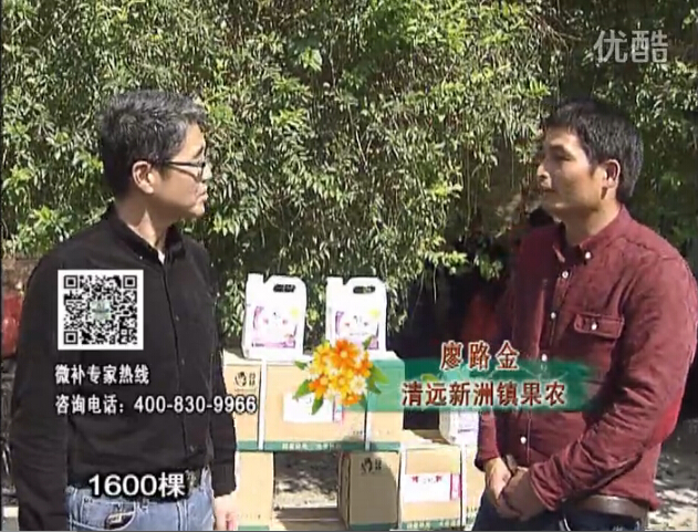 20160314珠江臺搖錢樹：柑橘用微補方案，保樹有收益