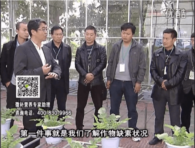 20160418珠江臺搖錢樹：和重慶種植業(yè)主走進微補，探秘微補生產(chǎn)研發(fā)技術