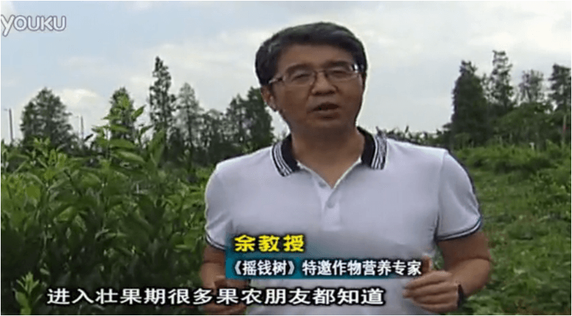 20160620珠江臺搖錢樹：柑橘淋微補調力、噴蓋力+壯力，調酸壯長勢、膨果防裂好