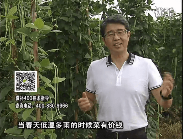 20160704珠江臺(tái)搖錢樹：蔬菜用微補(bǔ)方案，省肥藥又保產(chǎn)