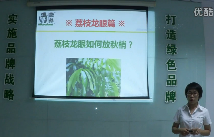 荔枝龍眼-采后樹弱、秋梢不壯怎么辦？請看微補(bǔ)講座