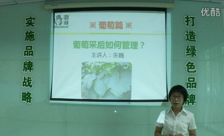 葡萄-采后恢復(fù)樹勢、來年花芽分化好.微補(bǔ)講座