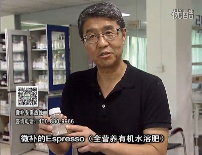 20160822珠江臺搖錢樹：柑橘秋梢淋沖因迪樂精華粉，補充有機營養(yǎng)，健壯果樹