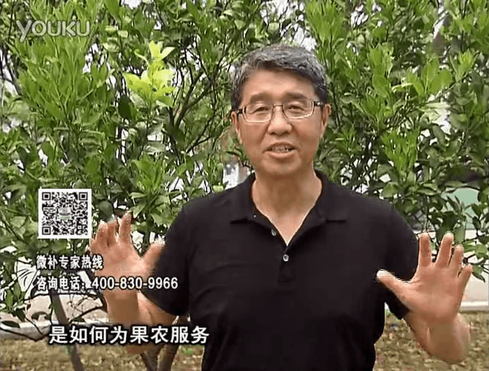 20160912珠江臺搖錢樹：針對果場面積、缺素營養(yǎng)、設(shè)施管理、投入產(chǎn)出，微補(bǔ)做個性化定制服務(wù)