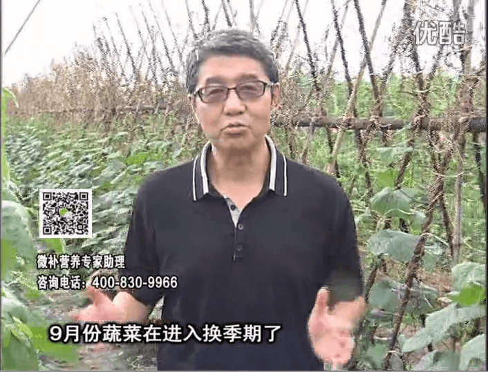 20160926珠江臺(tái)搖錢樹：換季蔬菜淋根力鈣精力促根壯長(zhǎng)，淋微補(bǔ)調(diào)力調(diào)酸減少病害