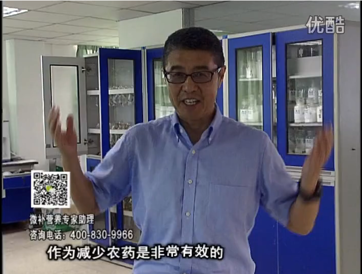20161024珠江臺搖錢樹：種植作物調(diào)酸、平衡營養(yǎng)、提高抗病力能大大降低病害發(fā)生和農(nóng)藥使用量