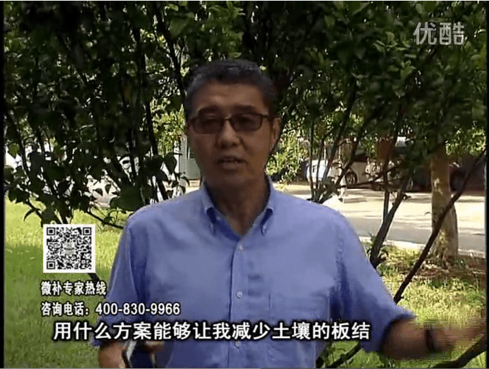 20161031珠江臺搖錢樹：減少化肥使用量、土壤少板結(jié)有辦法