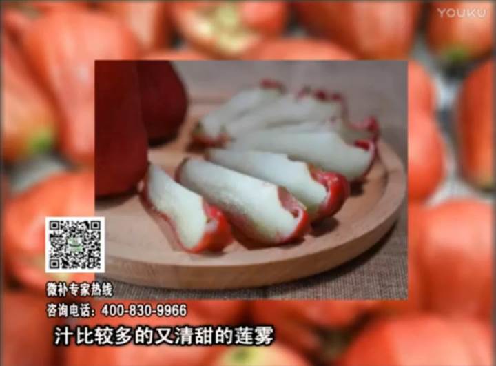 20170424珠江臺搖錢樹：蓮霧淋沖微補水肥，壯長、提高果實品質賣價