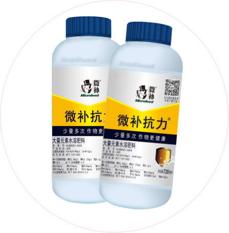如何做好冬季清園，減少來年病蟲害影響