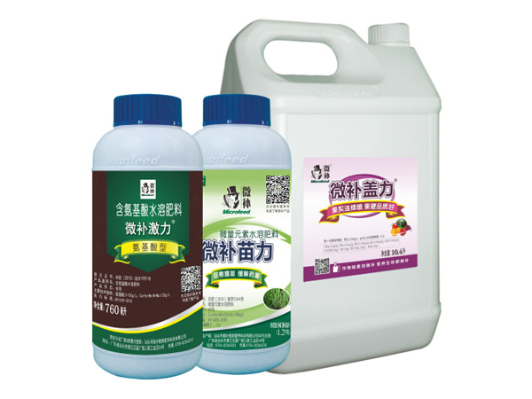 讓作物安全過(guò)冬的實(shí)用小妙招，速看