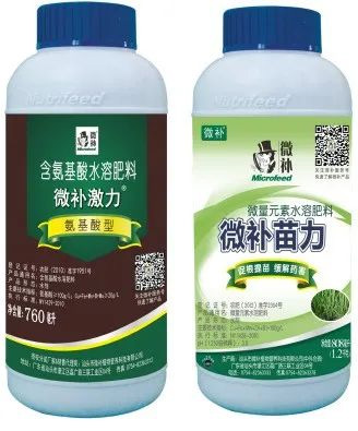 讓作物安全過冬的實用小妙招，速看