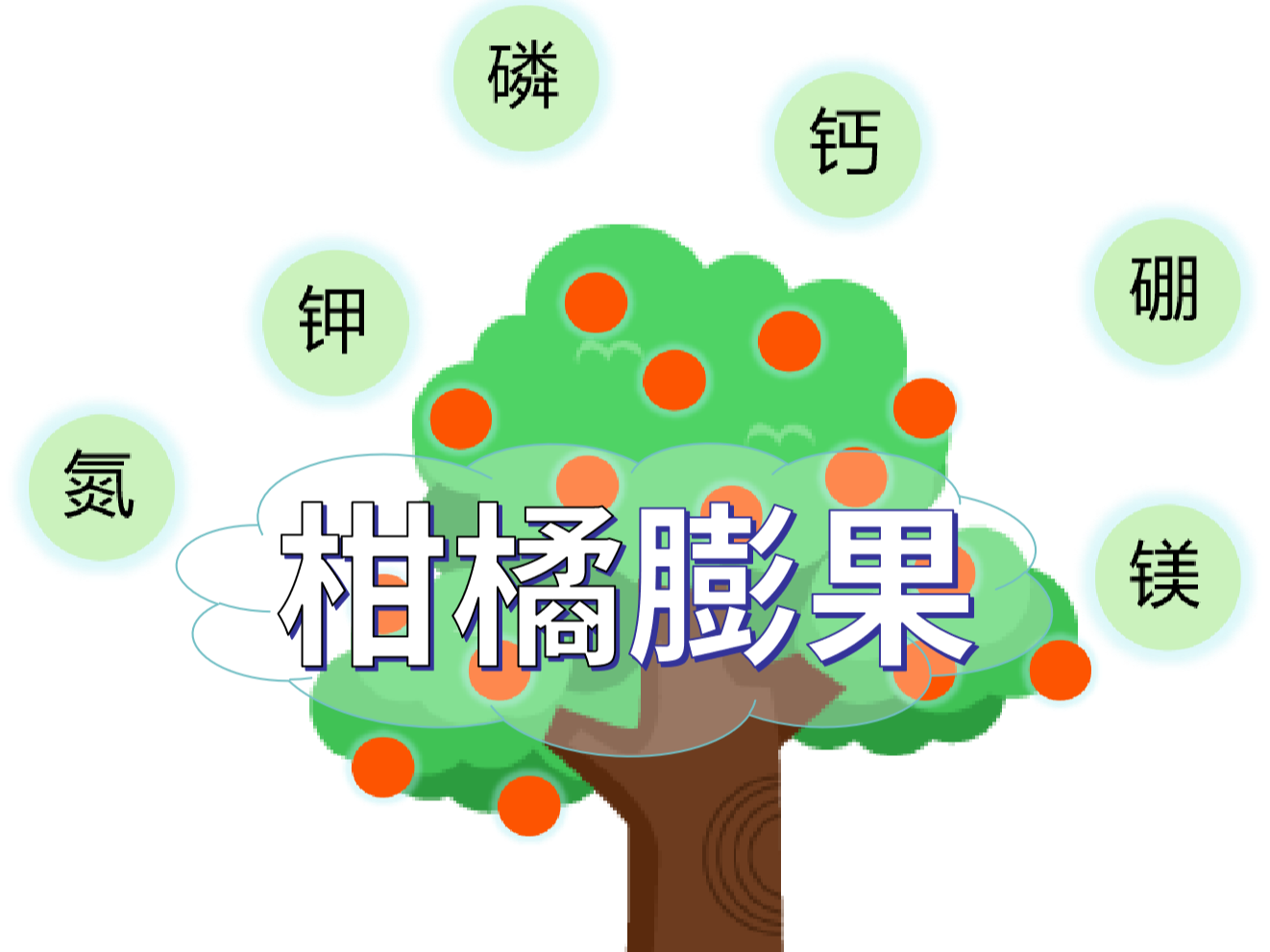 柑橘膨果慢？找準(zhǔn)原因，“對(duì)癥下藥”
