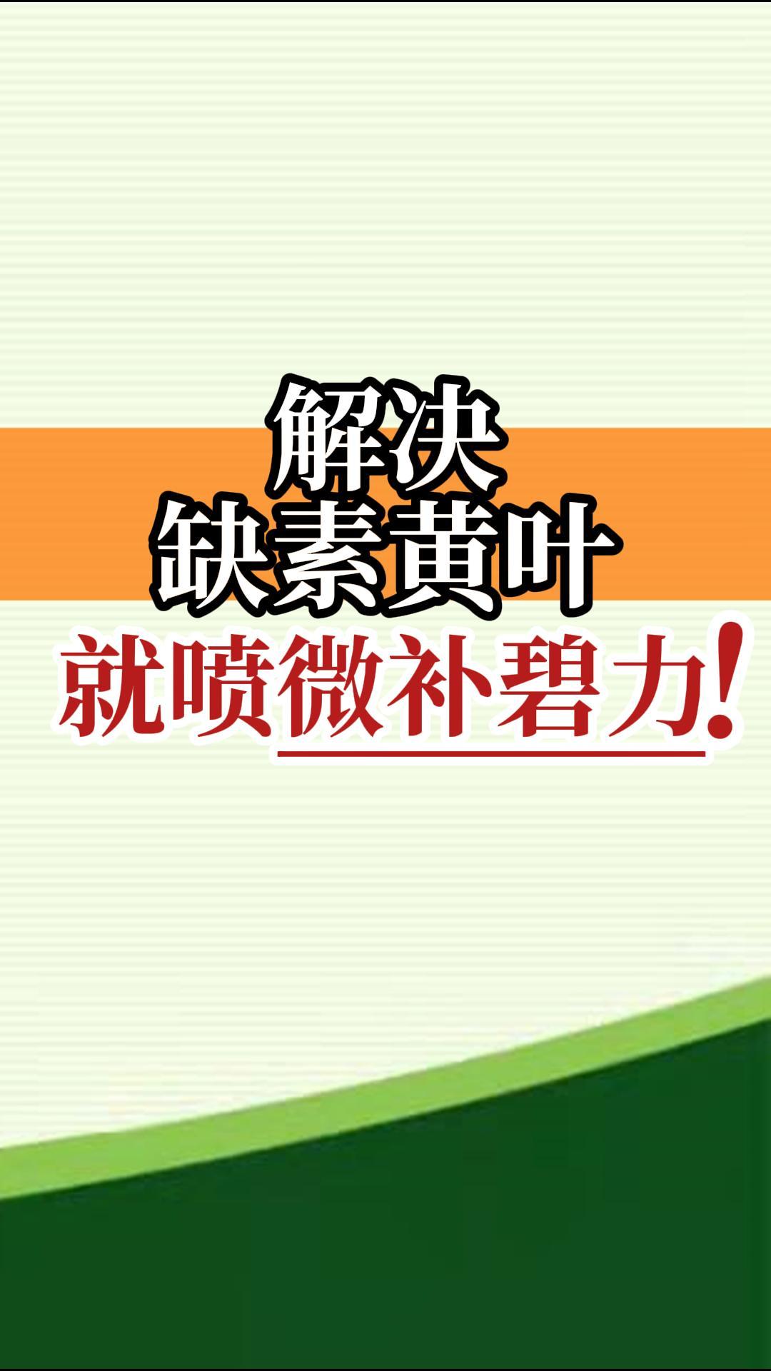 解決缺素黃葉就噴微補碧力！