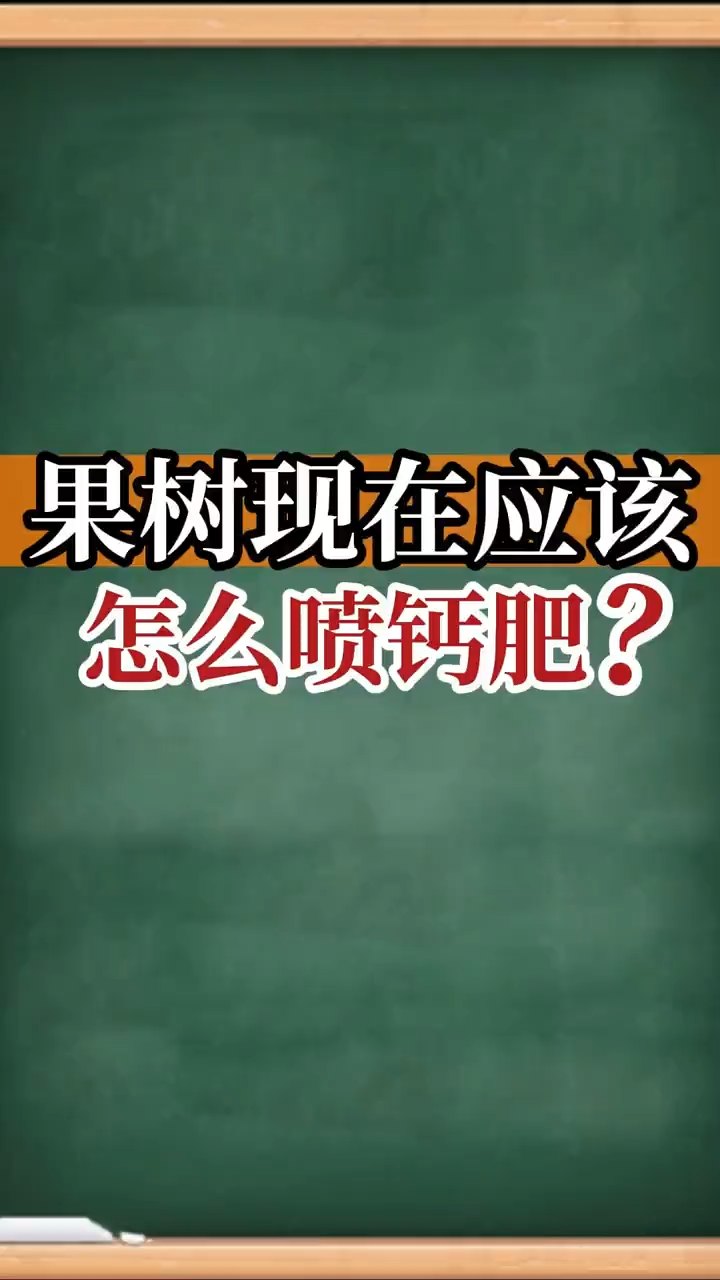 果樹現(xiàn)在應(yīng)該怎么噴鈣肥？